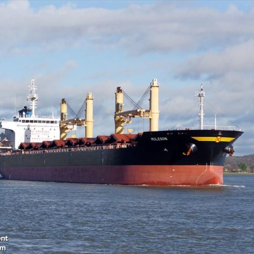 MV MOLESON 