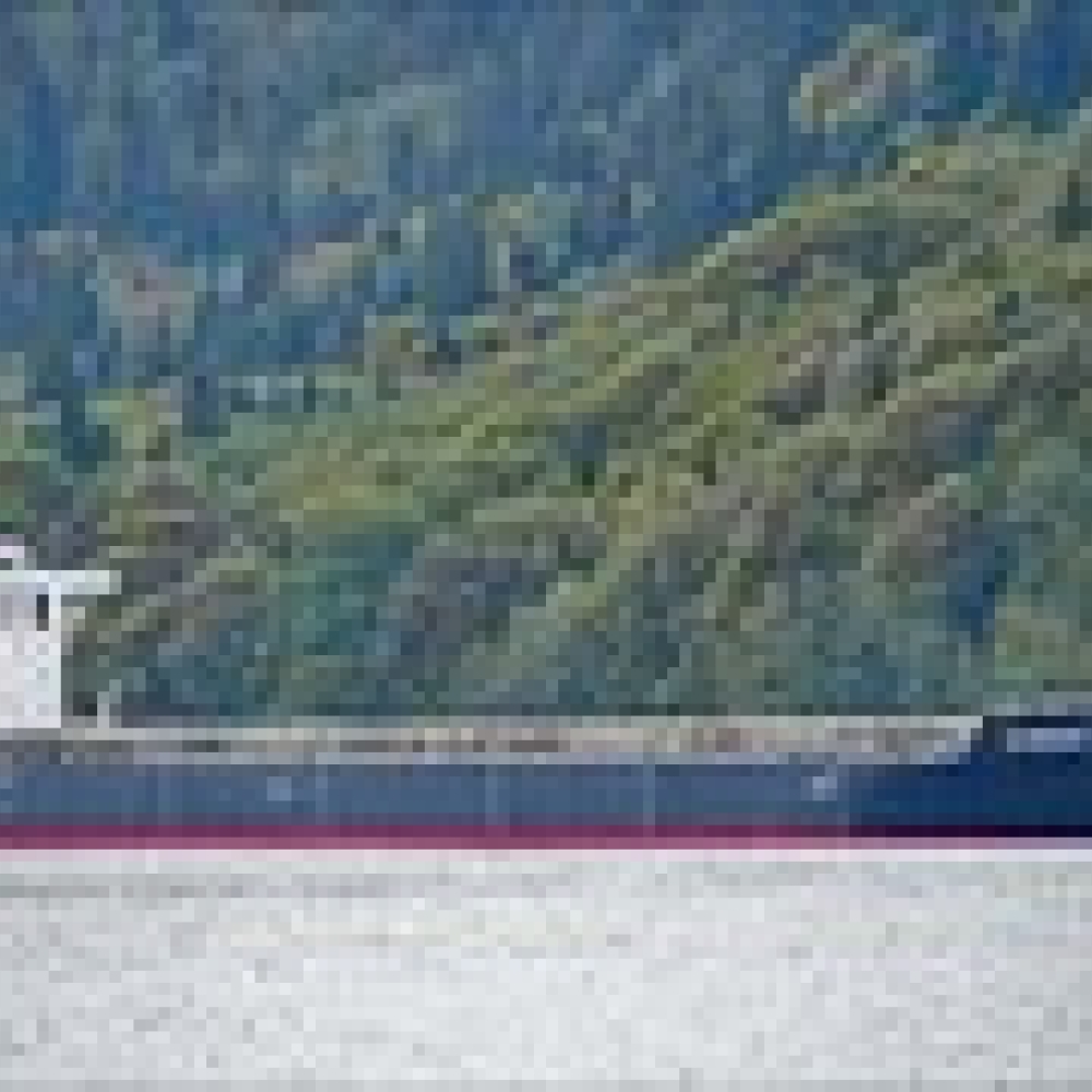 MV STAR DUST 
