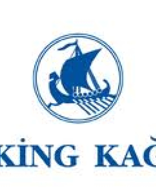 Viking Kağıt A.Ş. 
